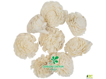 8d5471ef 5696 427c 85d1 a5669ee3aa6a