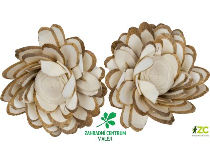 1ecb202c 188e 4f02 9300 c1d5ef3c1f99