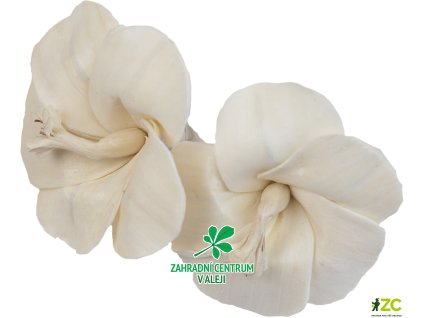 d5c57795 b744 41b6 9775 91a58b4ed441