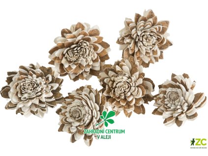 9f0dee96 f9d7 4b4f bb20 d562812ab4da