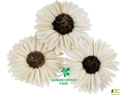 1268f9a7 2029 4e8a b1dc e4d80e03ab9e