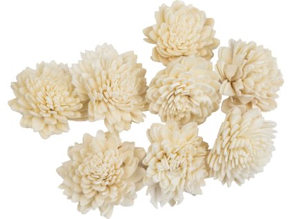 Dekorace - Sola Zinnia 4 cm - 8 ks