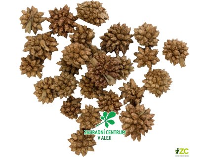 b23761b0 56cd 4293 acf5 8e66c028df6b