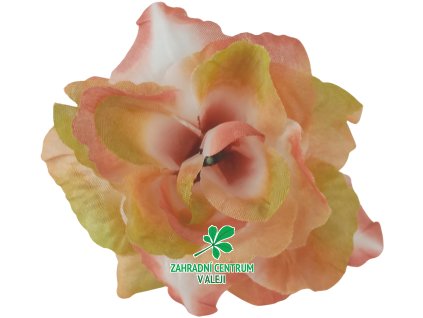 888ba095 f3f5 458d be23 a07cb5a2b021