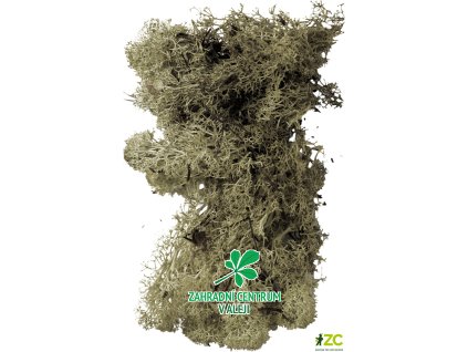 8ad5a379 9a4c 4b80 ac78 3cebbc47cf46