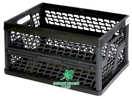 0cc876b0 6821 4aff b889 0b429dfa7c8c