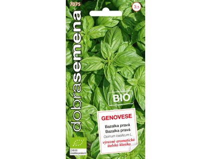 Dobrá semena BIO Bazalka pravá - Genovese 0,6g