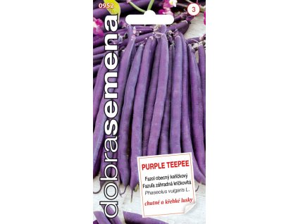 Dobrá semena Fazol keříčkový - Purple Teepee 10g