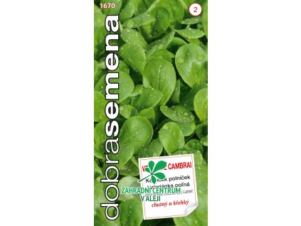 4c3c2eed 062b 4f2a a1ab fa9e4bad33f3