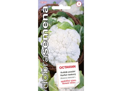 Dobrá semena Květák pozdní - Octavian 0,3g