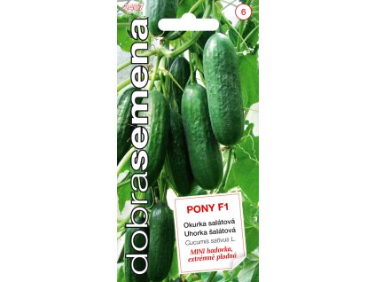 Dobrá semena Okurka sklen. - Pony F1 MINI 10s