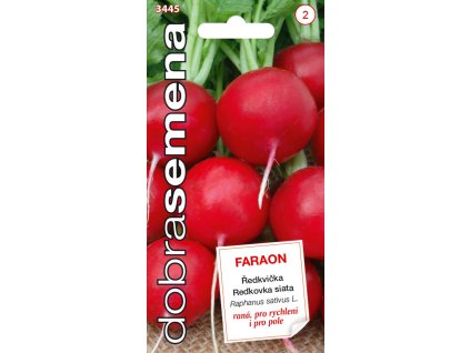 Dobrá semena Ředkvička červ. - Faraon 3g