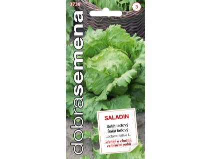 Dobrá semena Salát celoroční ledový - Saladin 0,6g