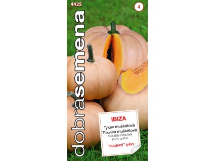 Dobrá semena Tykev muškátová - Ibiza 10s