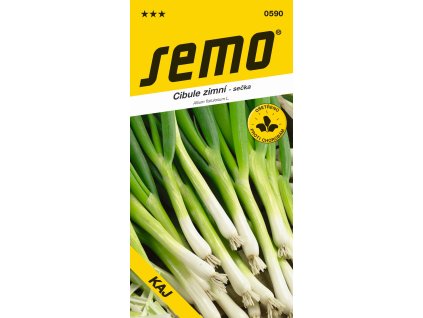 Cibule sečka - Kaj zimní, celoročně pro nať 1,8g