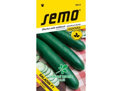 92e0bddc 6bff 41e2 839a 7aba189b569e