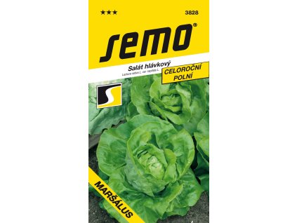 Salát celoroční - Maršálus PROFI polní 0,6g