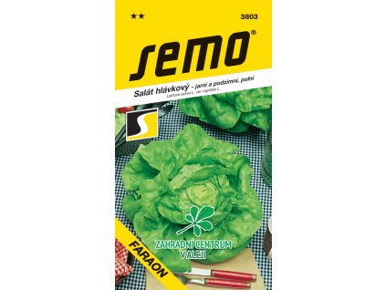 7ccffb7a 9d80 402d 8f24 70e35c6c79f0