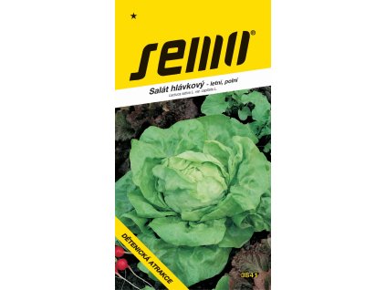 Salát letní - Dětenická atrakce polní 0,6g