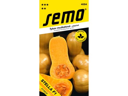 Tykev muškátová - Stella F1 (typ Butternut) konz.vař 2g