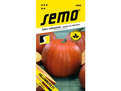 Tykev plazivá - Yellowboys F1 (Halloween) 3g