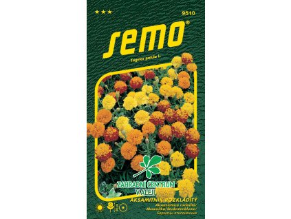 5c88eae6 d6be 4d2f acc0 888c9a5e33e5