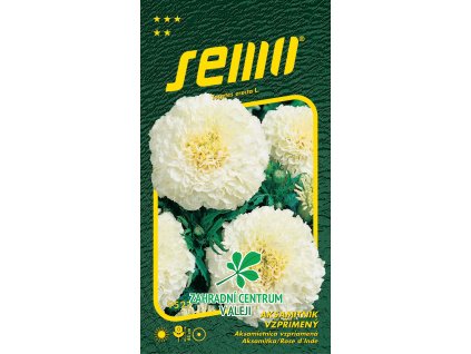 497d6cc1 3e93 4774 ac44 acd43f921076