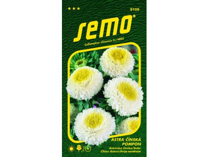 Astra čínská - Pompon white and yellow 0,5g