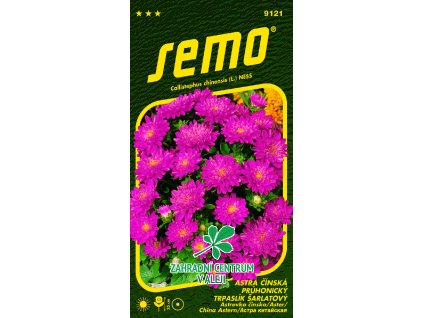 04ba4110 7851 4d24 985e 83ee5fa5c4db