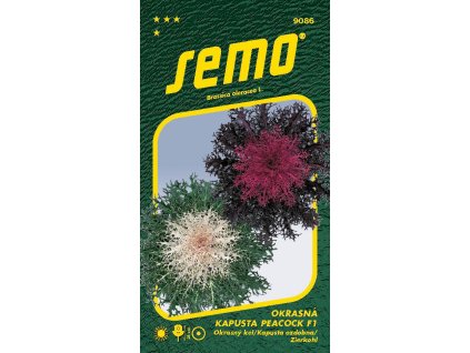 Kapusta okrasná - Peacock F1 mix 20s