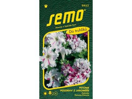 Petunie velkokvětá - Pozdrav z Jaroměře 50p