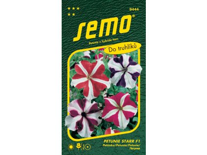 Petunie velkokvětá - Star F1 30p