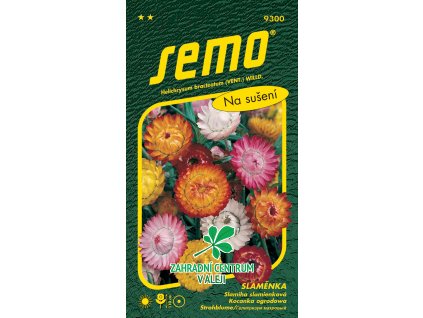 88cc9d2e 499e 4a72 a807 468e380a8ea2