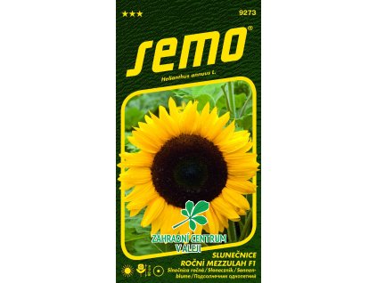 d6cfe101 fd1f 4860 800e 07939e611adc