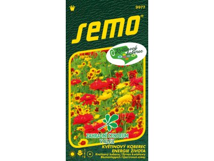 8cdb300a f8e2 4549 96a4 628e9c2dcd02