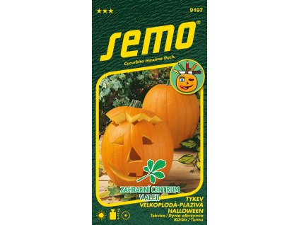 5e5a5538 72bb 4733 b82b 52a27a939a94