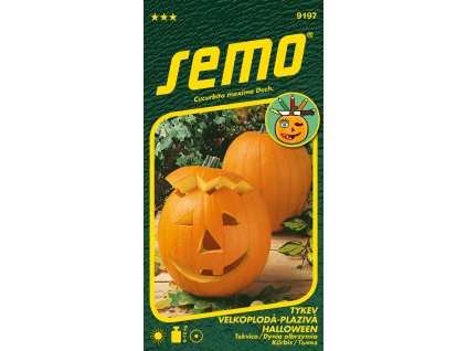 Tykev okrasná - Halloween 2g - série K DEKORACI