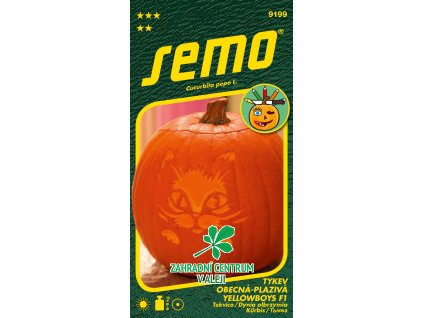 d7325253 3aff 4dc6 9dfb 1c79c9f4d655