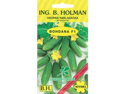 88a65a69 ad9c 47d5 bd38 47cc6128ce9b