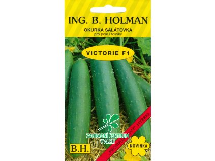 2fcedb45 79a5 4298 b901 2938d7f3712a