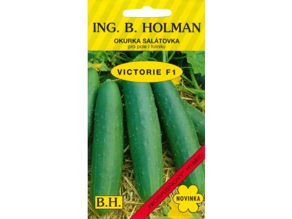 Okurka salát. Holman - Viktorie F1 1,5 g