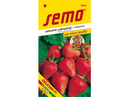 Jahodník velkoplodý - Delician F1 12s - série JAZÝČKY