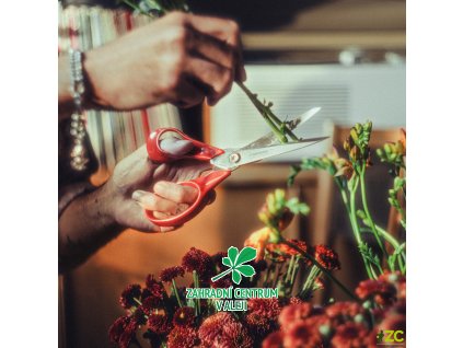 99c4cb2f 4027 4d1a b11a aa3fdc0ed57a