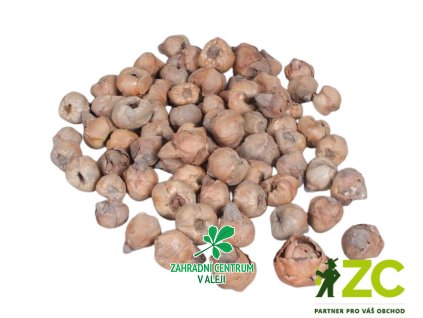 eefcda7a 27a1 44ac a5f7 e4e2843f06ca