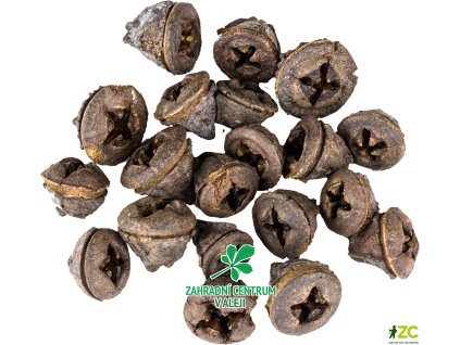 b99d9fa3 f65f 4e4c acb7 e34dbbd3901f