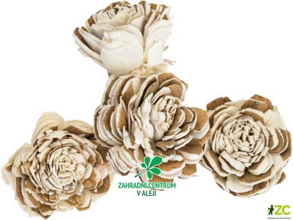 6250c922 e7f5 4cb0 820d 7d7a360d7b4d