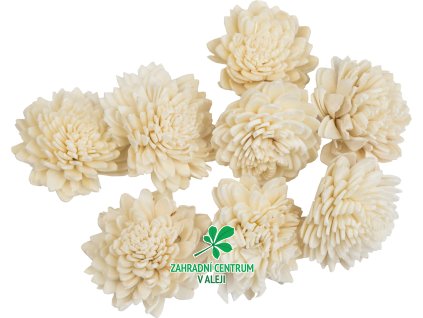 81d8899c d10d 48d3 87aa 0f4b40e2074c