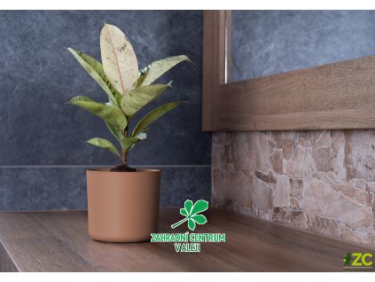 808b46bb 132b 4629 b57b 0e2d7d16132c