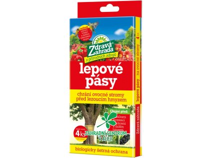 93cdc2f8 18d2 4b37 930e 0a5534c898f1