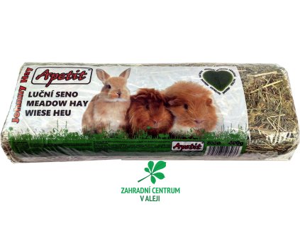 482d67eb 5de9 4ce5 966e e92cef2f80bc